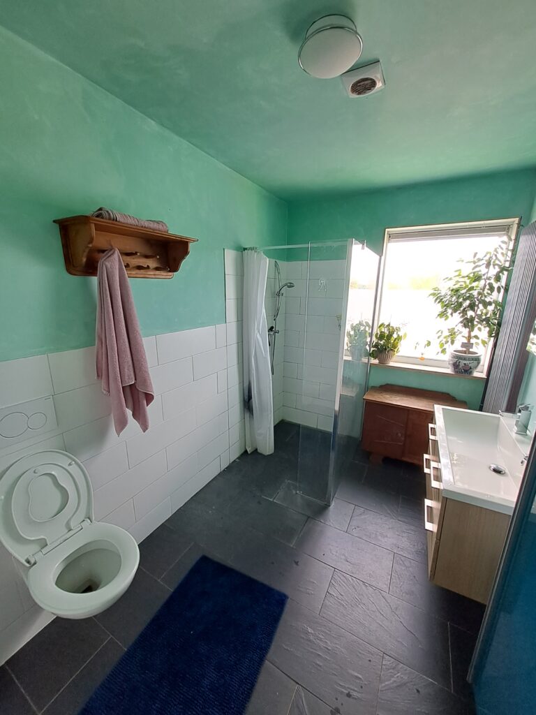 The other shower/toilet