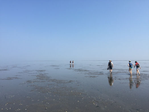 Klus - en tuinretraite met Waddentocht
