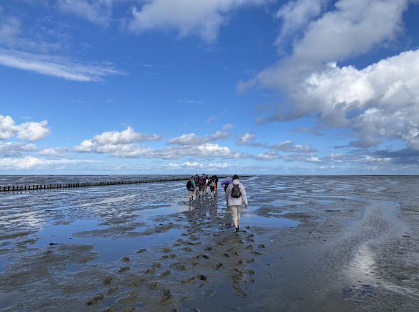 Workretreat with Wadwalk